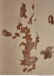 Walls Plaster Damaged