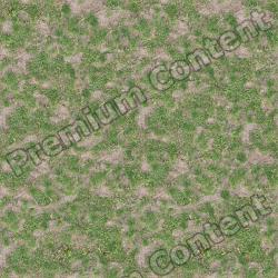 Seamless Grass