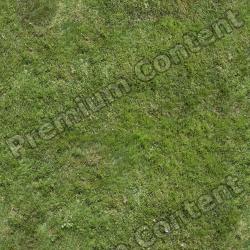 Seamless Grass