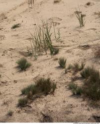 Photo Textures of Sand