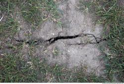 Cracked Soil