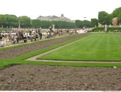 Background Gardens