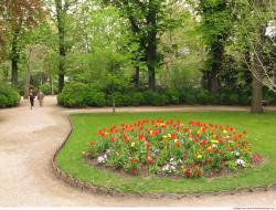 Background Gardens