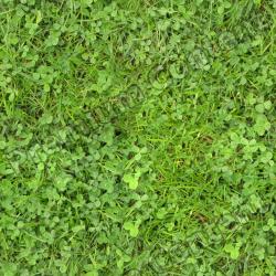 Seamless Grass