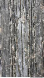 Photo Textures of Wood Bare