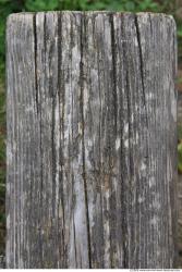 Photo Textures of Wood Bare