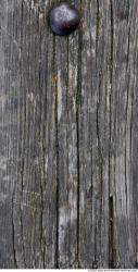 Photo Textures of Wood Bare