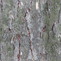 Seamless Bark