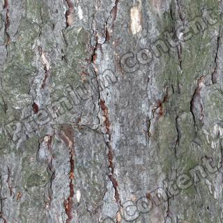 Seamless Bark 0001