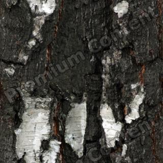 Seamless Bark 0001