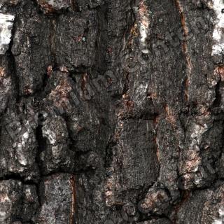 Seamless Bark 0001