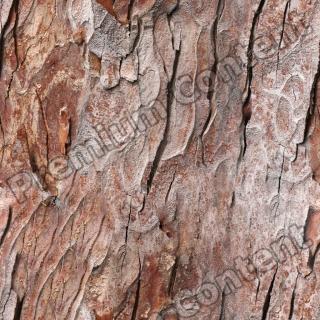 Seamless Bark 0001