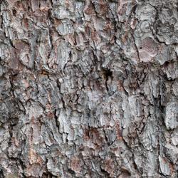 Seamless Bark