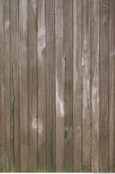 Bare Planks Wood