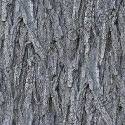 Seamless Bark