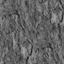 Seamless Bark