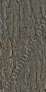 Seamless Bark 0001