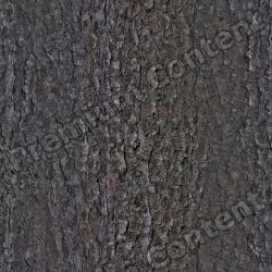 Seamless Bark