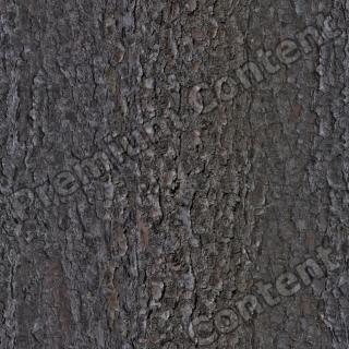 Seamless Bark 0001