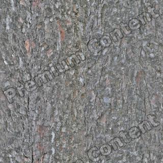 Seamless Bark 0001