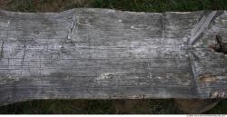 Rough Wood