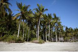 Photo reference of Background Beach