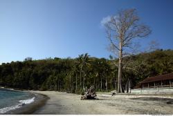 Background Beach