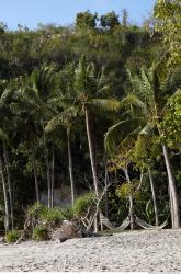 Photo reference of Background Beach