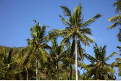 Photo reference of Background Beach