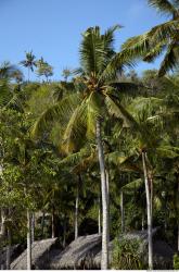 Photo reference of Background Beach