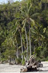 Photo reference of Background Beach