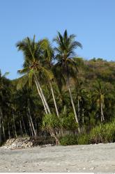 Photo reference of Background Beach