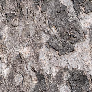 Seamless Bark 0001