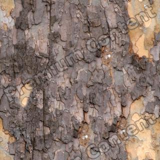 Seamless Bark 0001