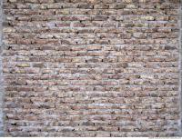 Walls Brick 0019