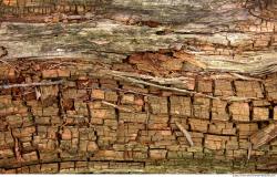 Rough Wood