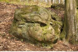 Mossy Rock