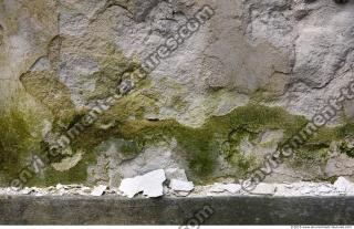 Walls Stucco 0081