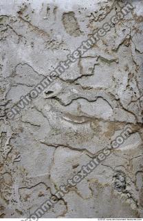 Walls Stucco 0077