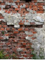 Wall Bricks Plastered