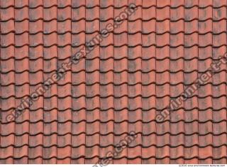 Tiles Roof 0245