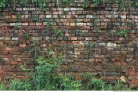 Walls Brick 0213