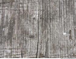 Photo Texture of Wood