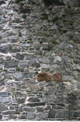 Various Walls Stones