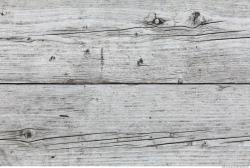 Bare Planks Wood