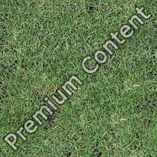 Seamless Grass 0001