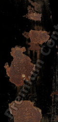 Rusted Decals