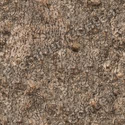 High Resolution Seamless Textures 0079