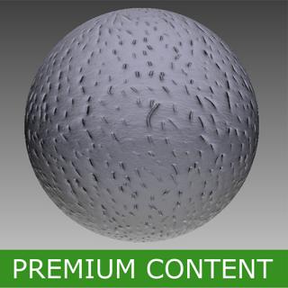 Seamless Textures of Human Skin & Normal Mapping 