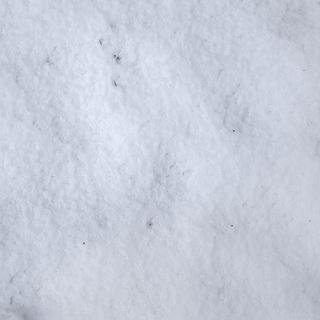 Photo Textures of Snow